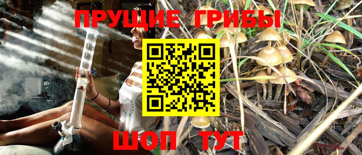 Псилоцибиновые грибы GOLDEN TEACHER Казань